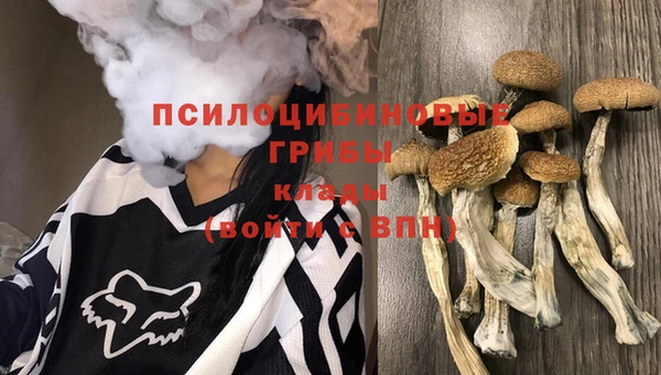 прущие крисы Алзамай