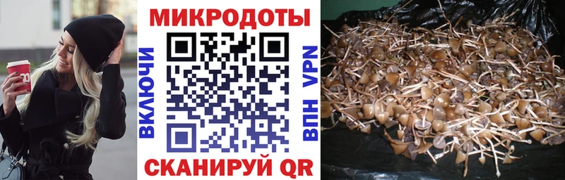 Псилоцибиновые грибы прущие грибы  Менделеевск 